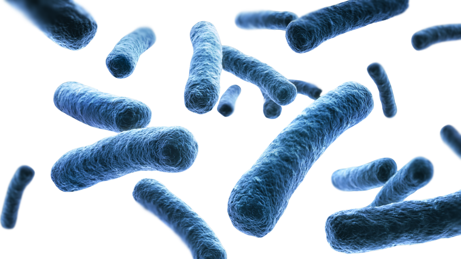 Blue rod-shaped bacteria floating on a dark background