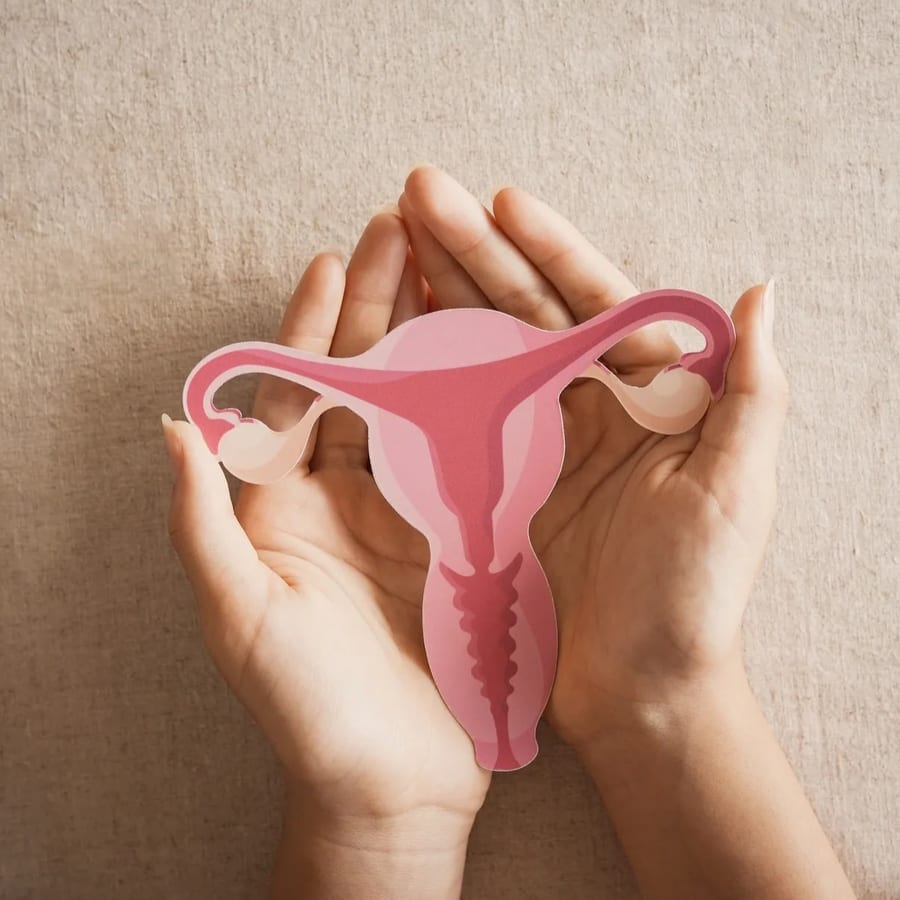 Illustration representing the VaginalRestore clinical approach to vaginal microbiome health